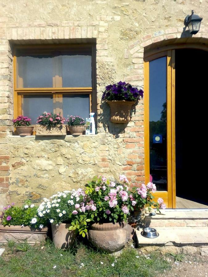 Casa Ollie Apartment Castel San Gimignano Ngoại thất bức ảnh